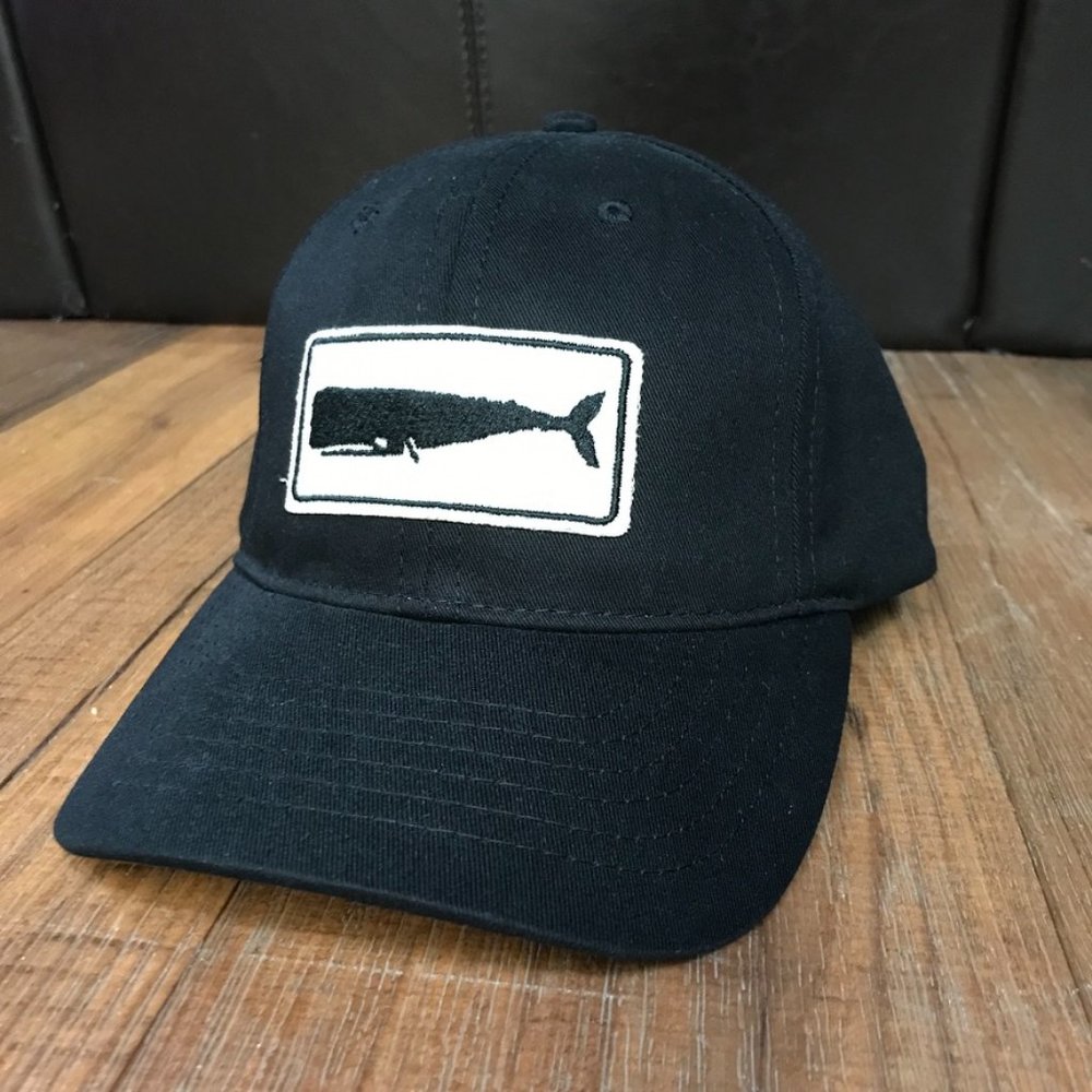 Mollusk black whale patch cap